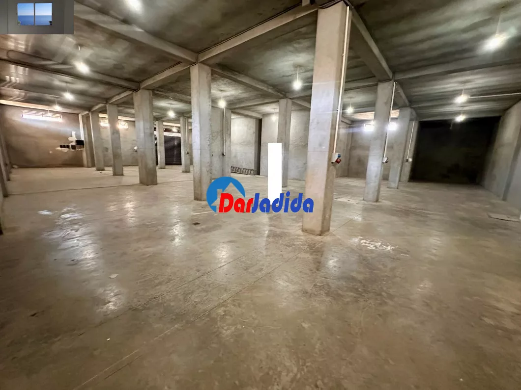 Location Local Alger