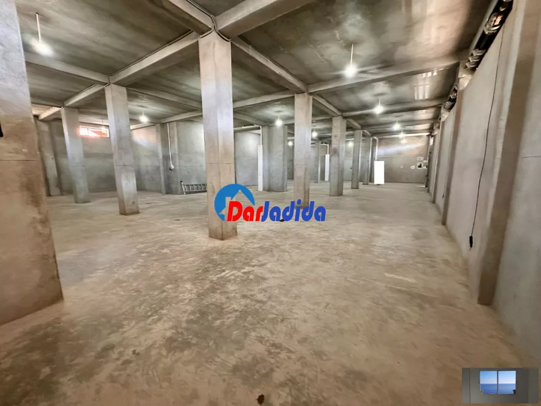 Location Local Alger