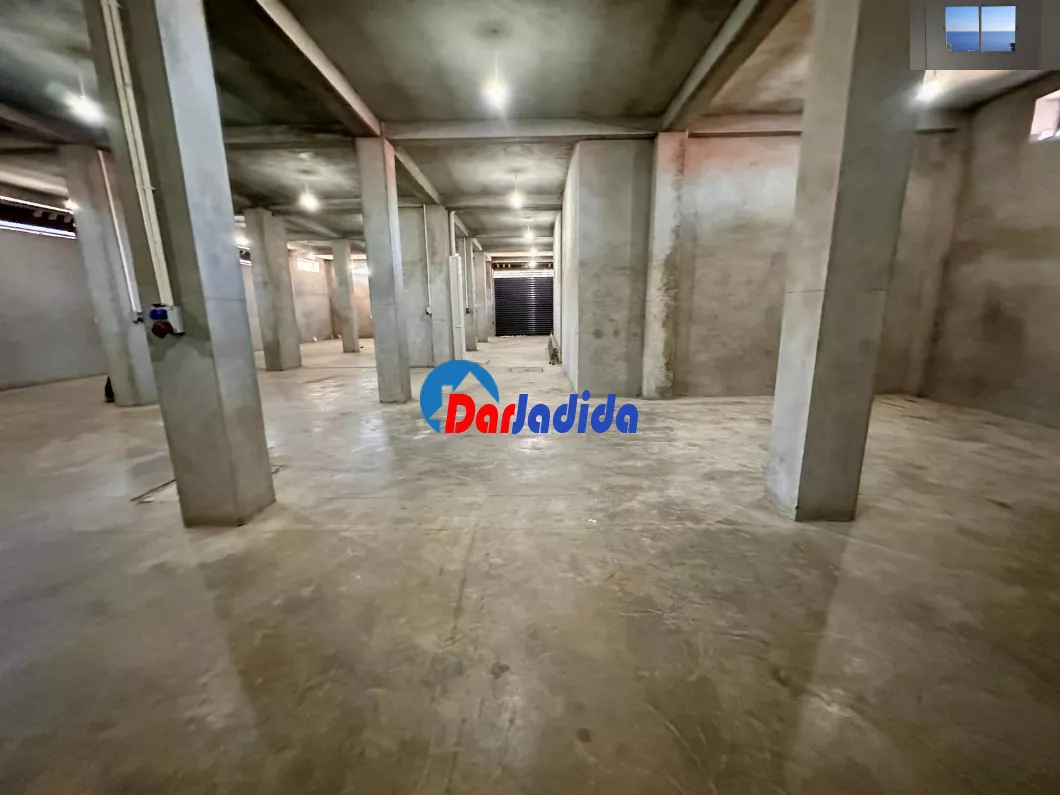 Location Local Alger