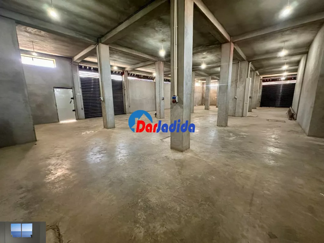 Location Local Alger