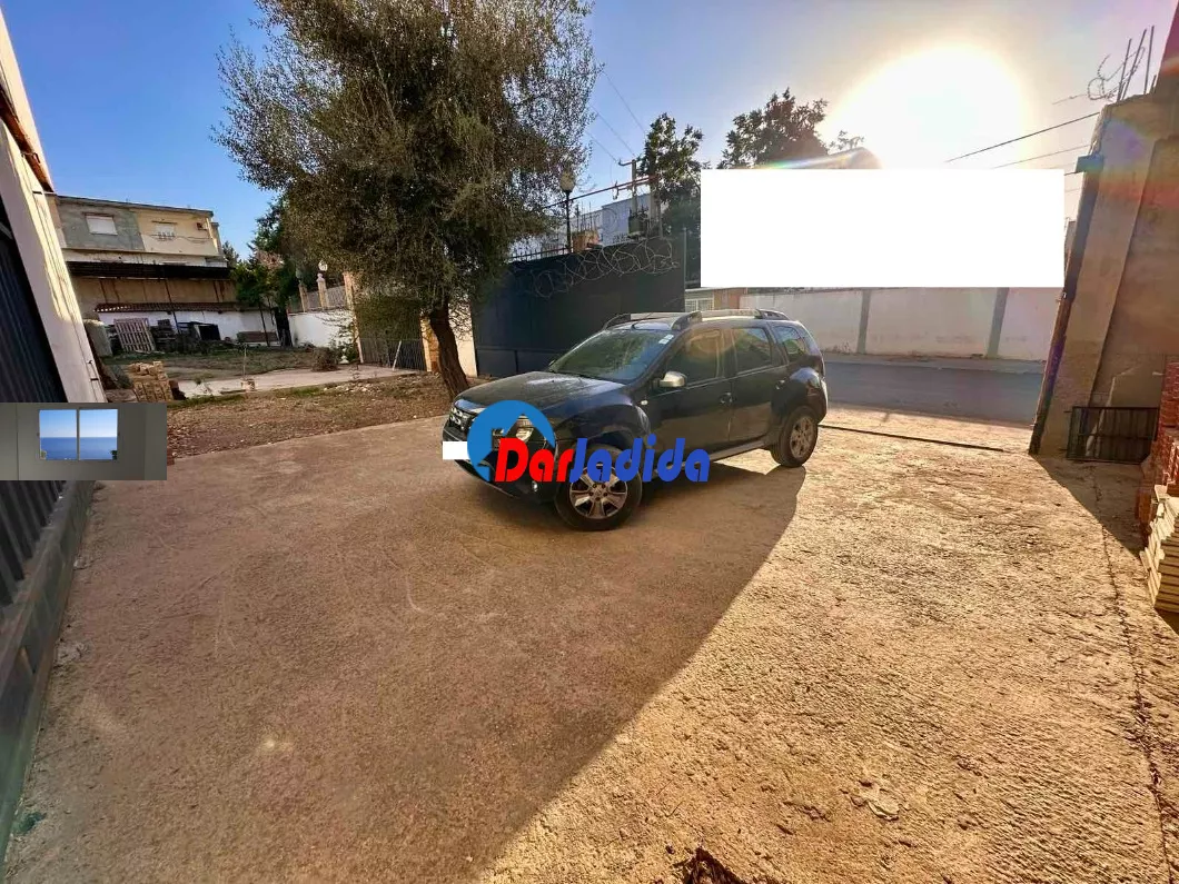 Location Hangar Blida