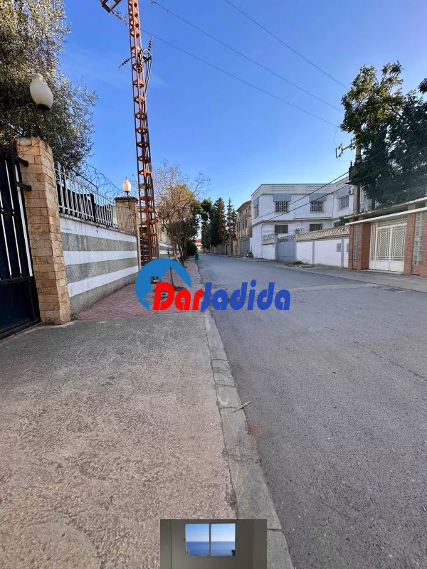 Location Hangar Blida