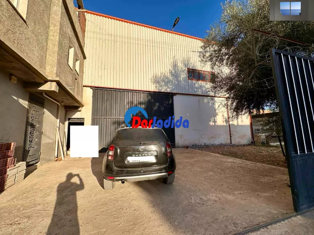 Location Hangar Blida