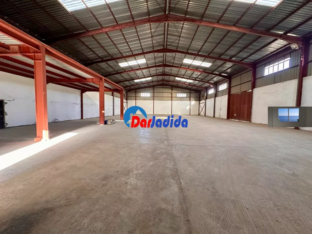 Location Hangar Blida