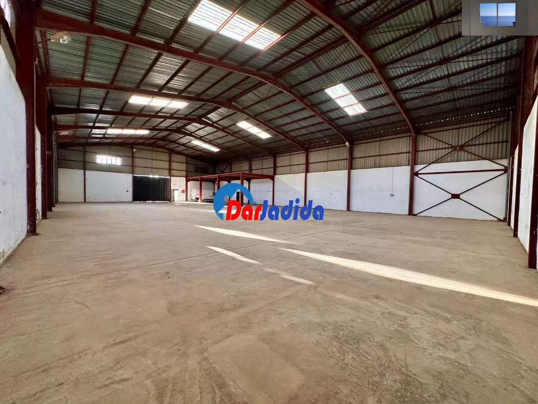 Location Hangar Blida