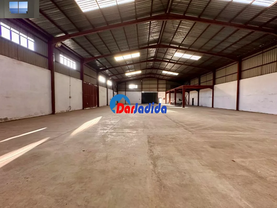 Location Hangar Blida