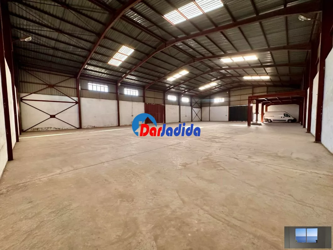 Location Hangar Blida