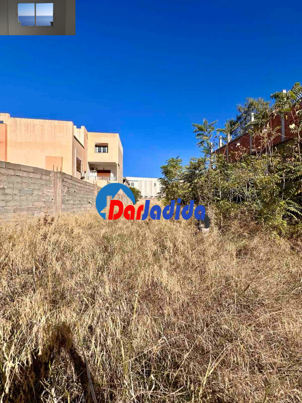 Location Terrain  Blida