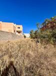 Location Terrain  Blida