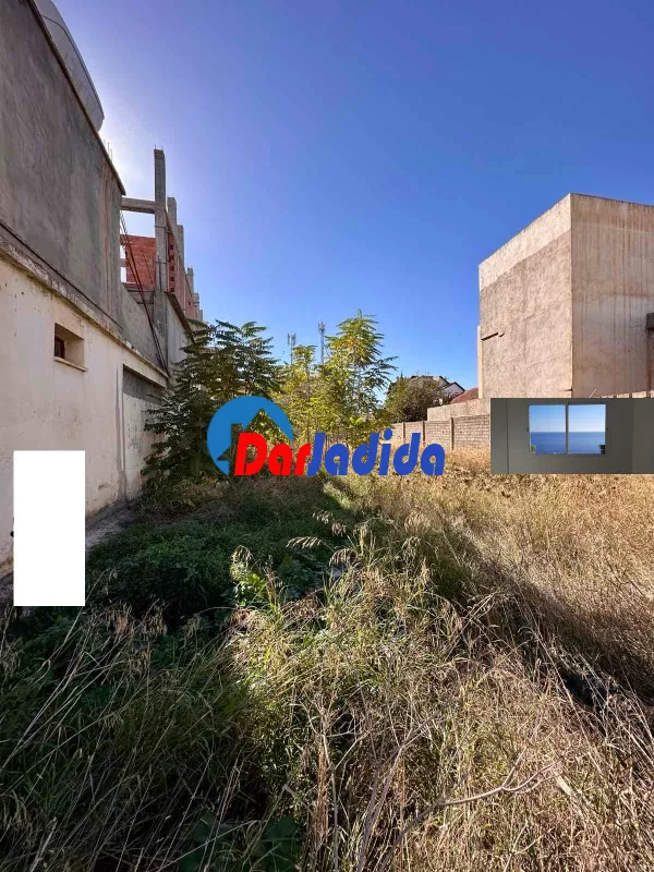 Location Terrain Blida