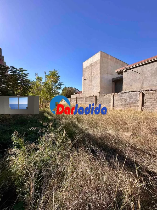 Location Terrain Blida