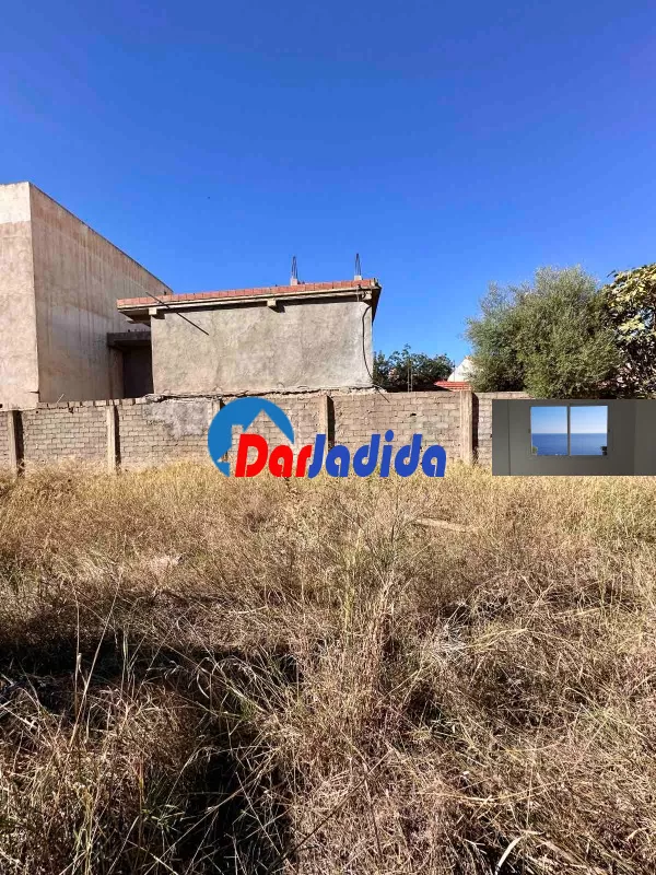 Location Terrain Blida