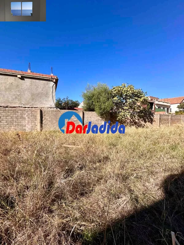 Location Terrain Blida