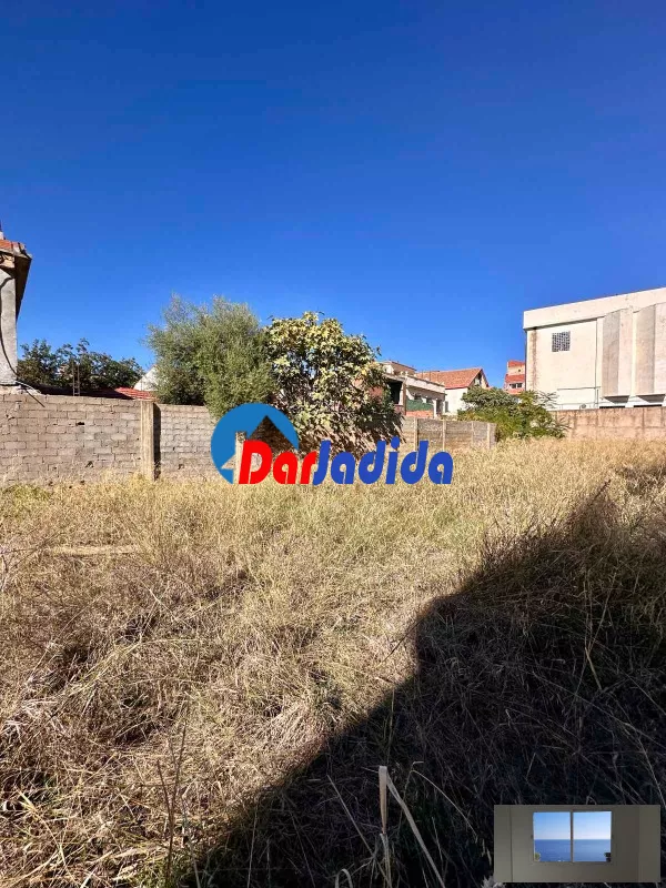 Location Terrain Blida