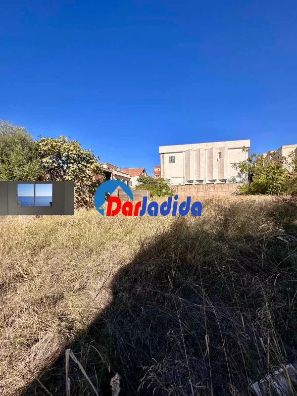 Location Terrain Blida