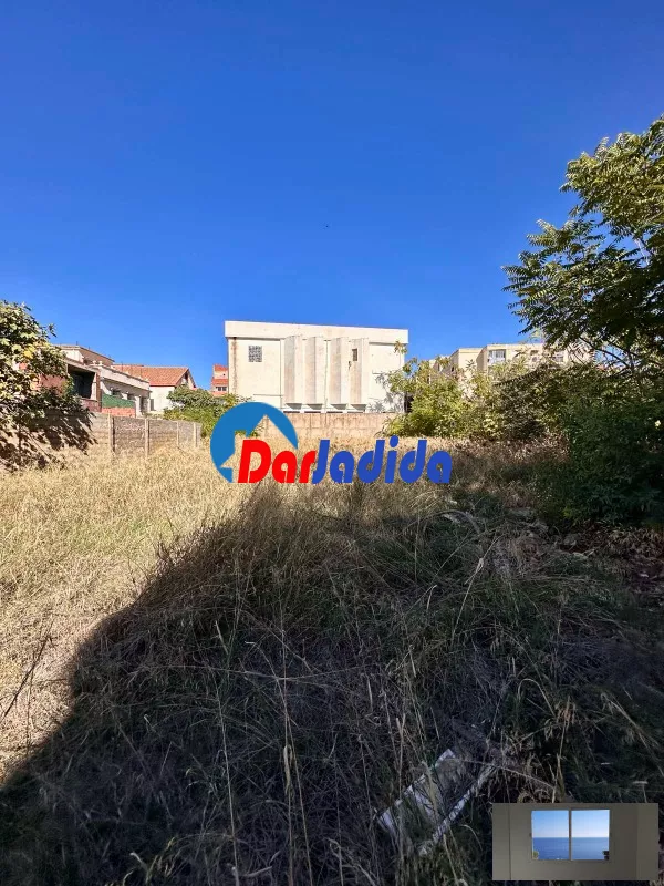 Location Terrain Blida