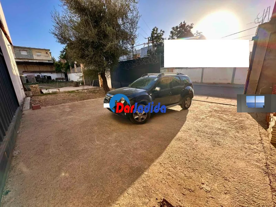 Location Hangar Blida