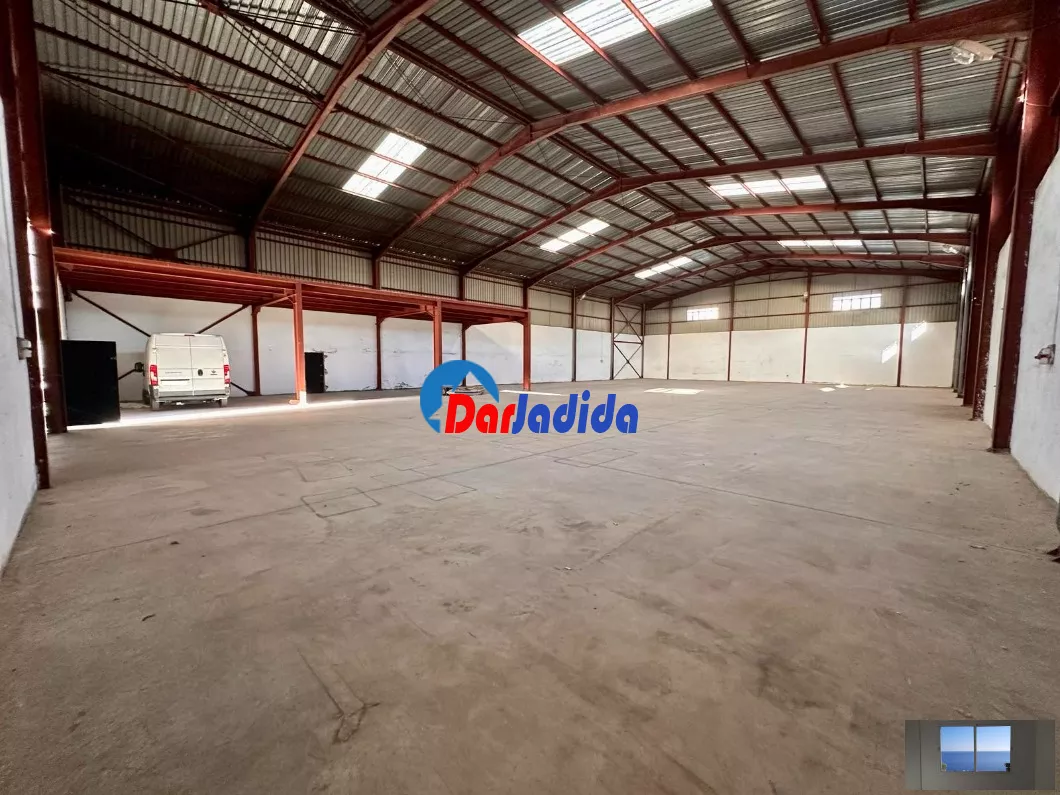 Location Hangar Blida