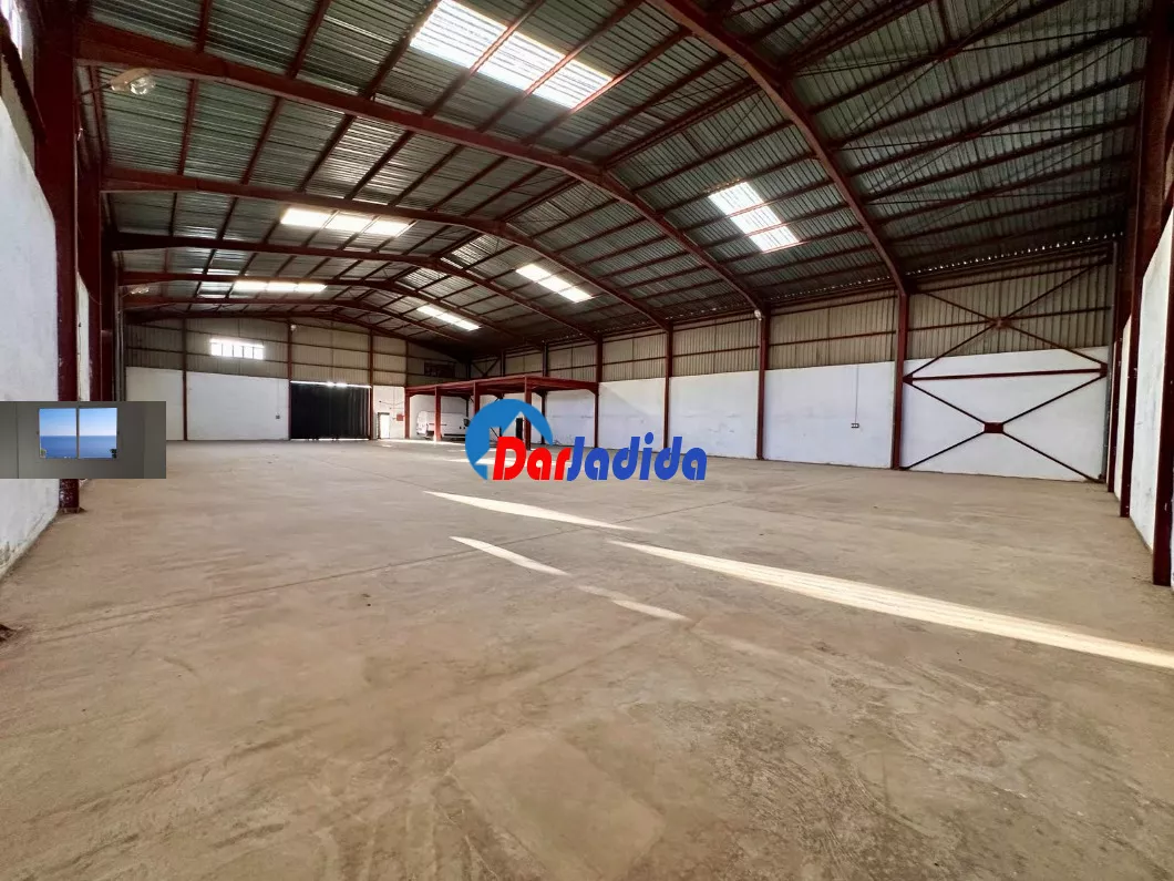 Location Hangar Blida