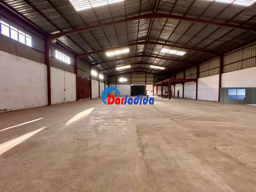 Location Hangar Blida