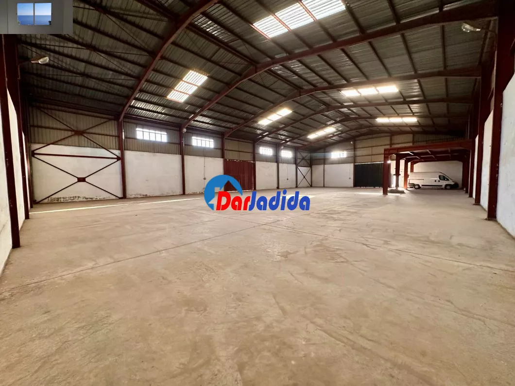 Location Hangar Blida