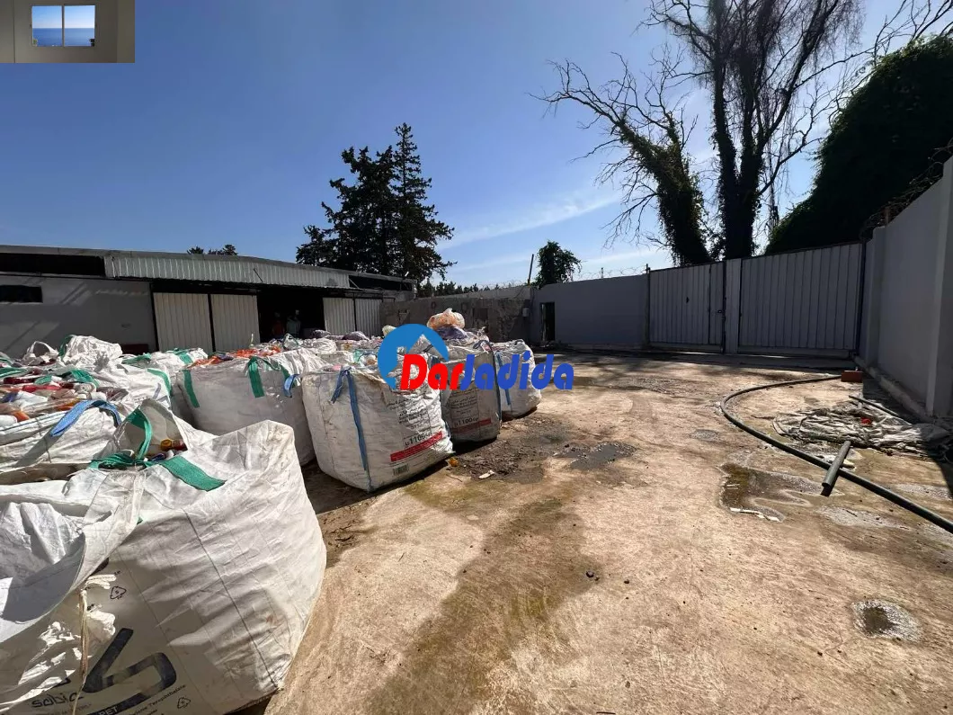 Location Hangar Blida