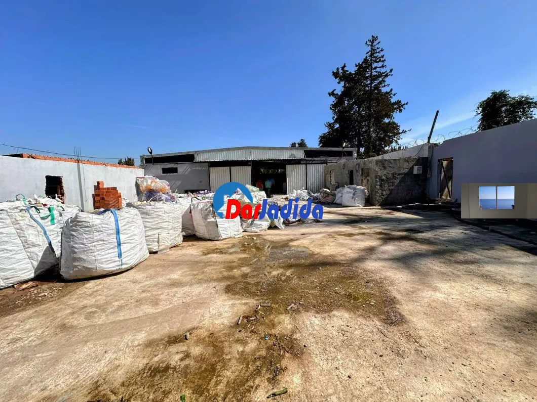 Location Hangar Blida