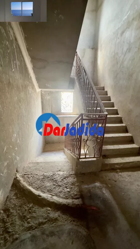 Location Hangar Blida