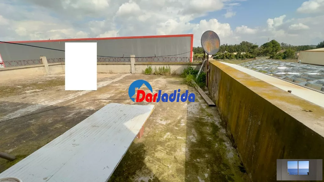 Location Hangar Blida