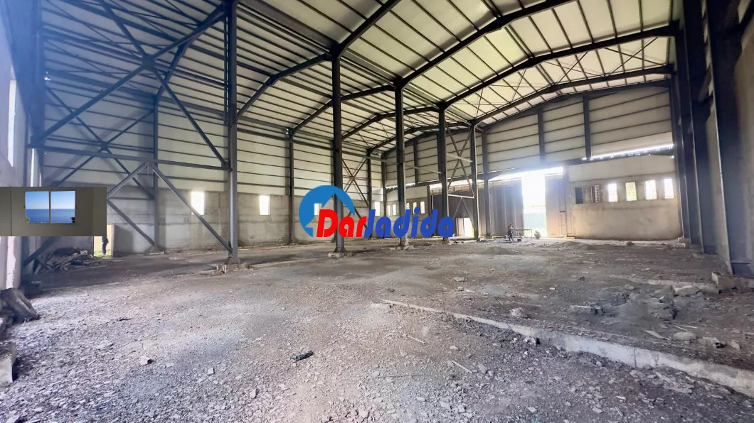 Location Hangar Blida