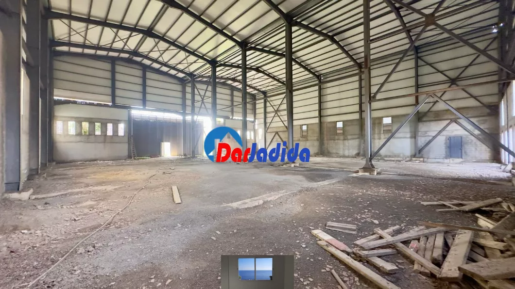 Location Hangar Blida