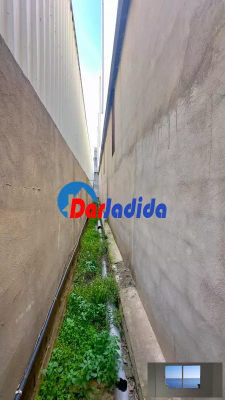 Location Hangar Blida