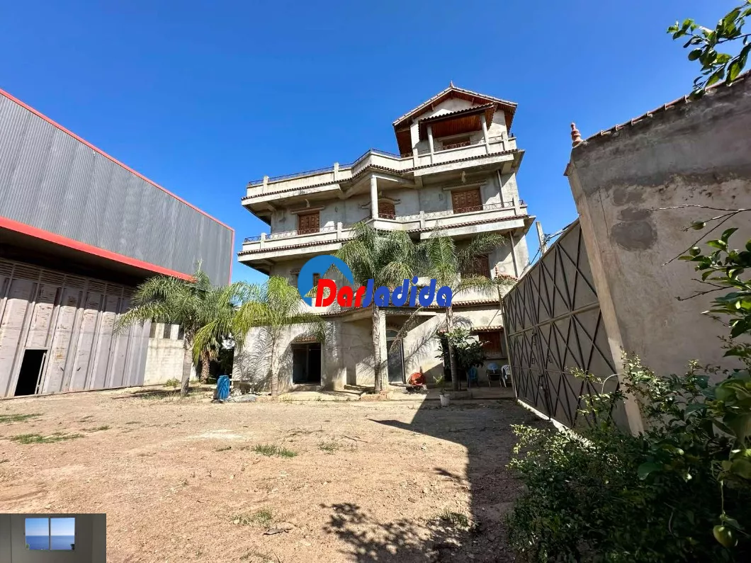 Location Hangar Blida