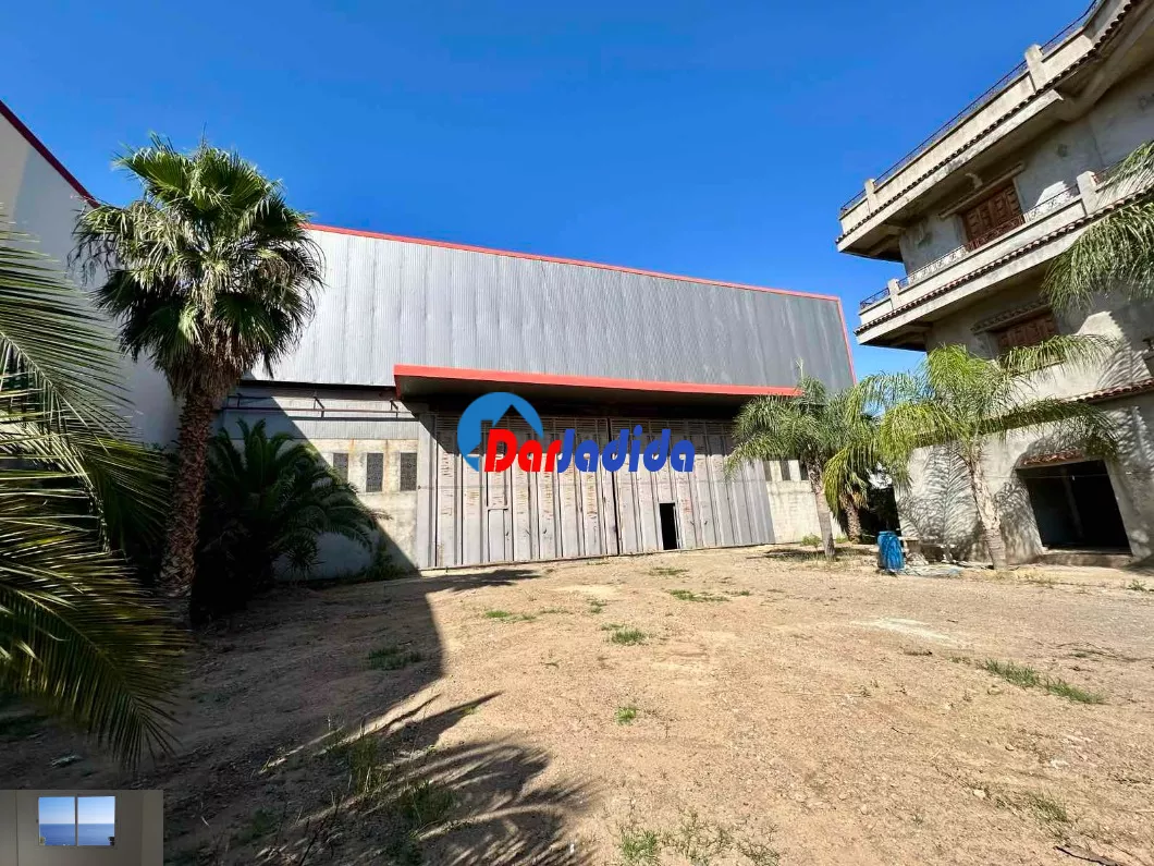 Location Hangar Blida