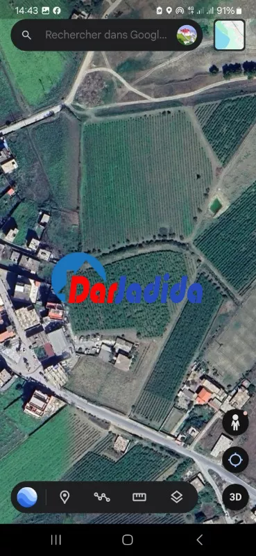 Vente Terrain  Boumerdes