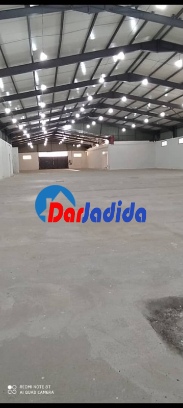 Location Hangar  Bouira