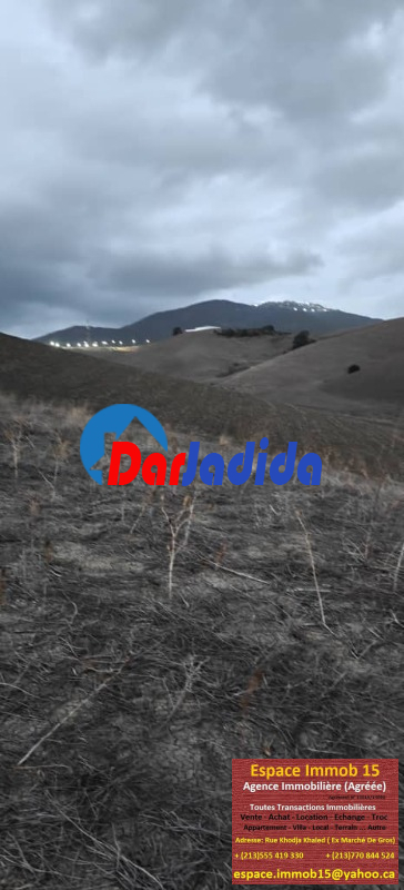 Vente Terrain  Tizi-ouzou