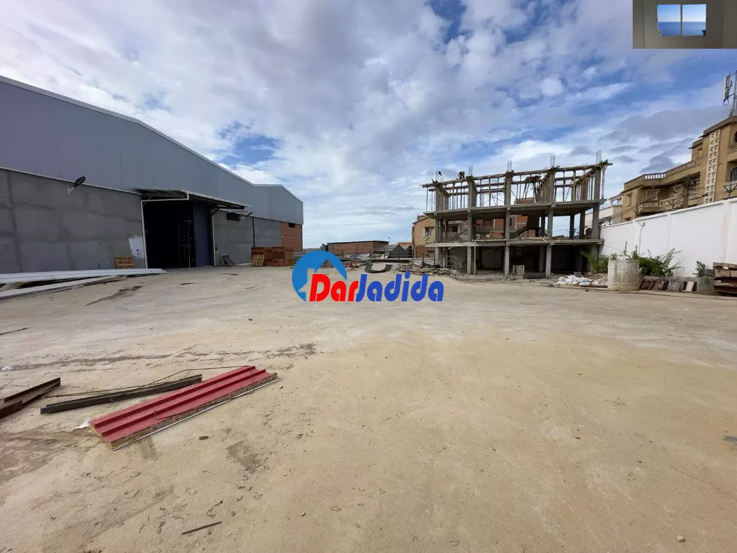 Location Hangar  Alger