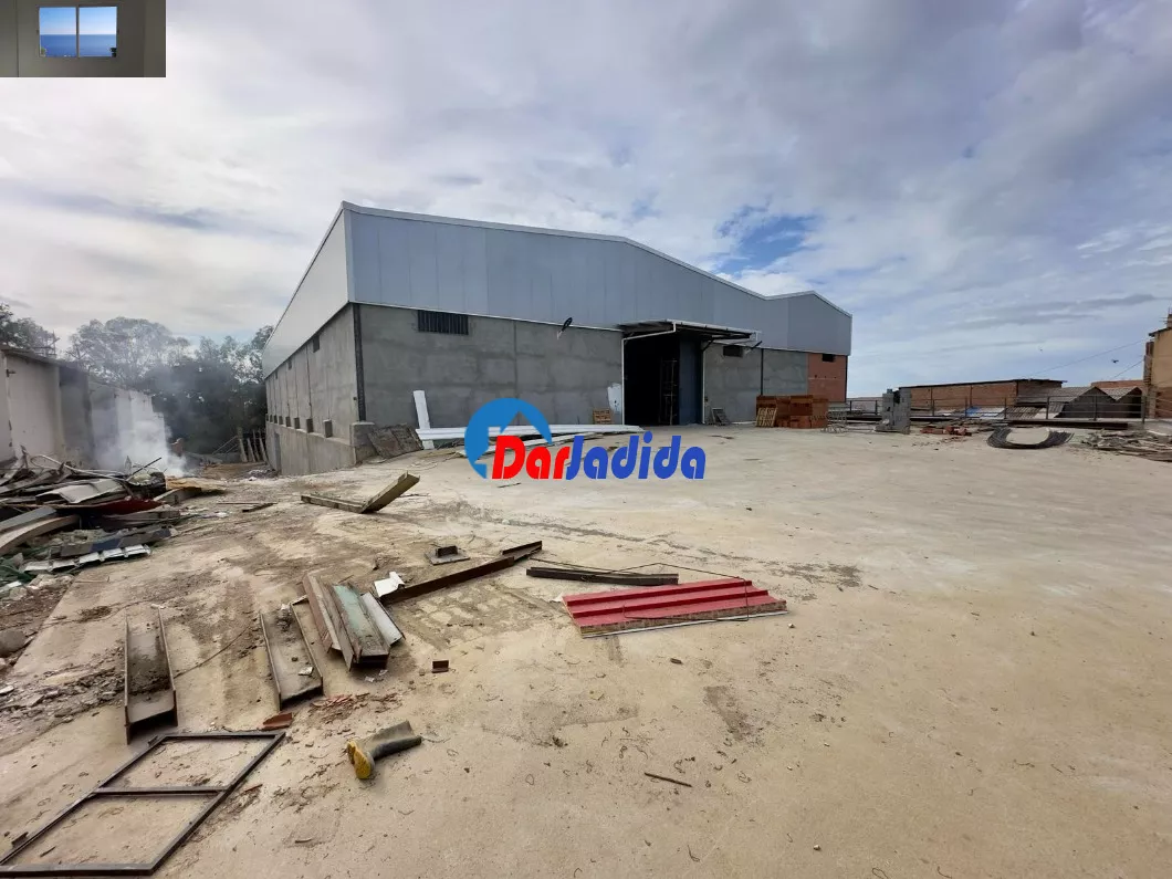 Location Hangar Alger