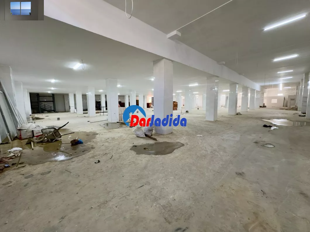 Location Hangar Alger