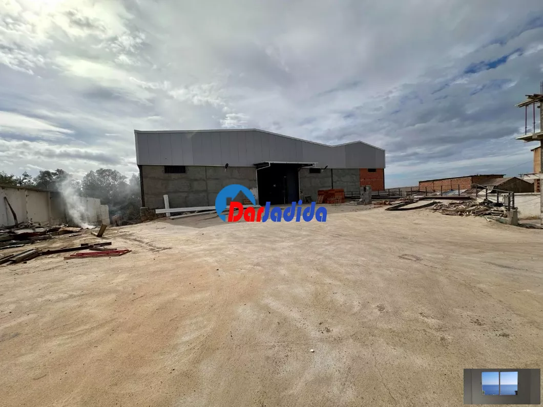 Location Hangar Alger