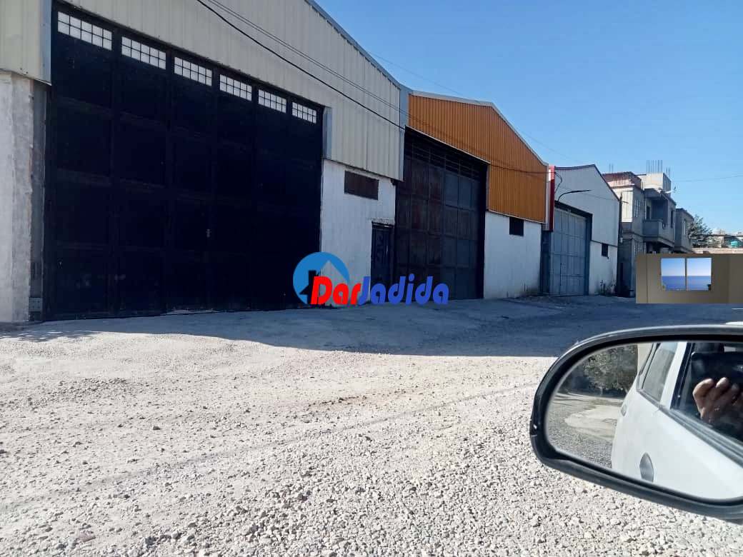 Location Hangar  Blida