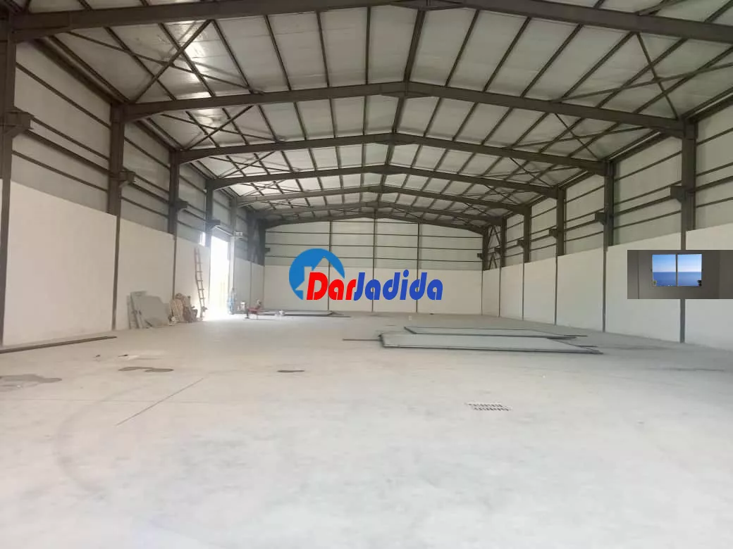 Location Hangar Blida