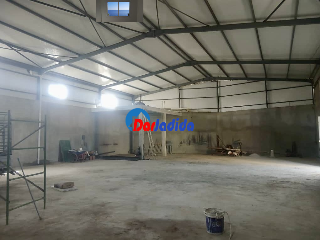 Location Hangar  Blida