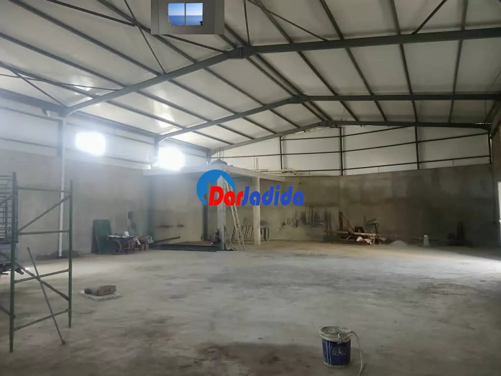 Location Hangar Blida