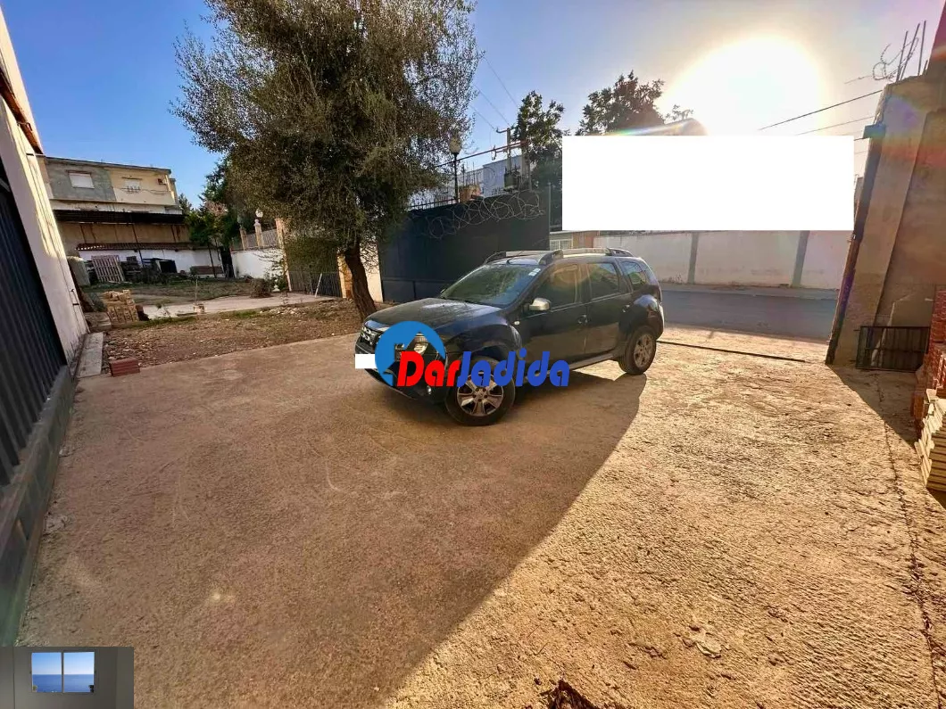 Location Hangar Blida