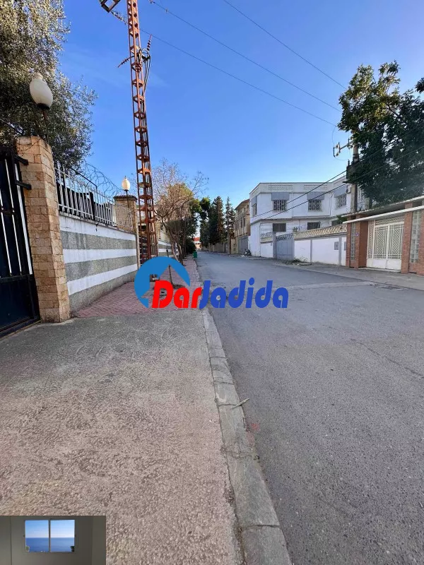 Location Hangar Blida