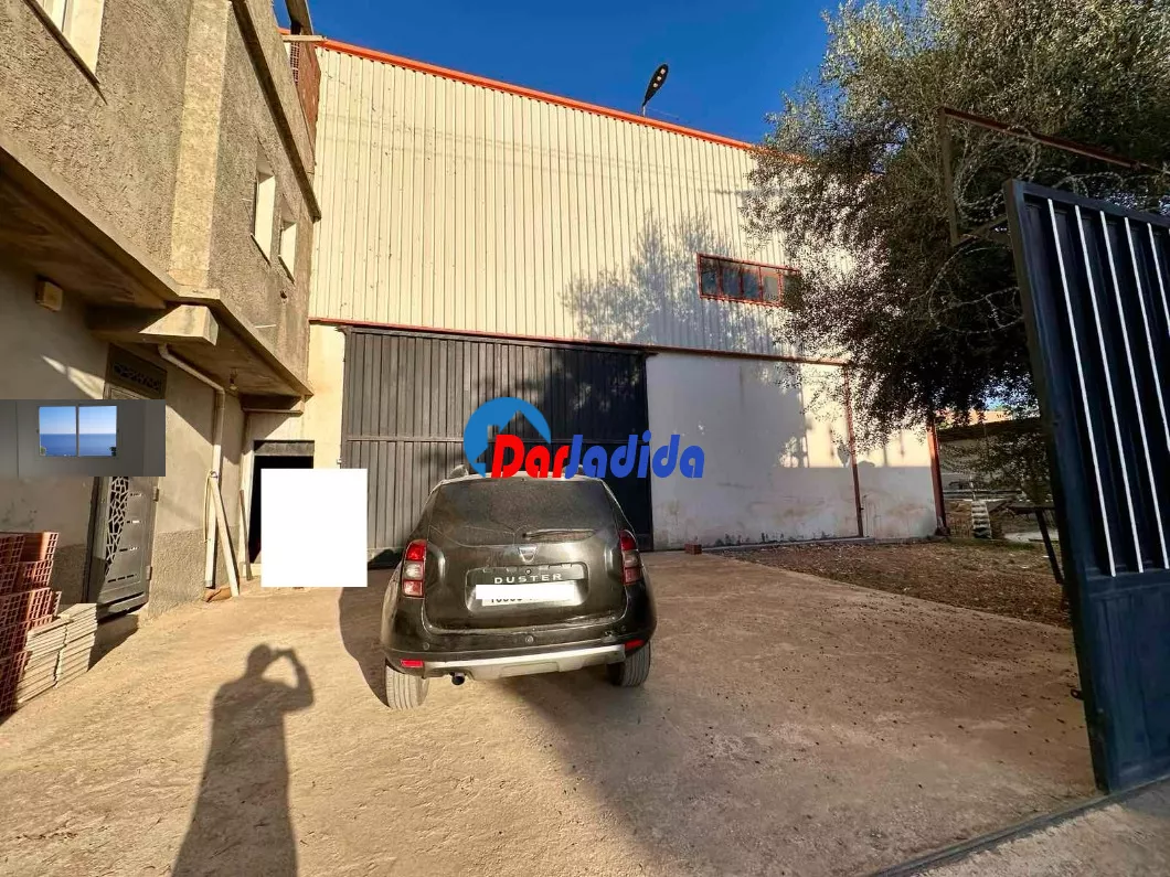 Location Hangar Blida