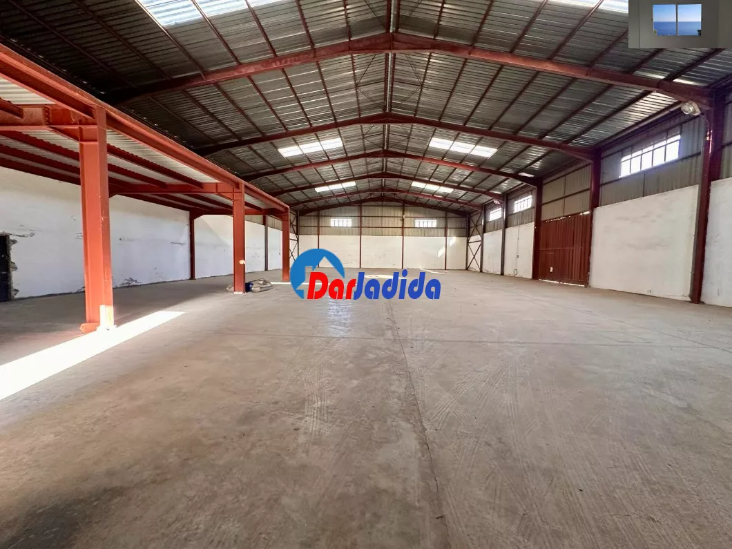 Location Hangar Blida