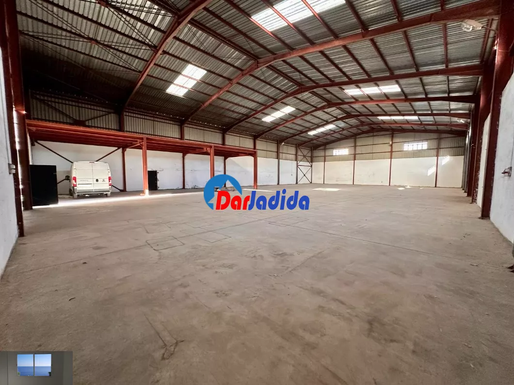 Location Hangar Blida